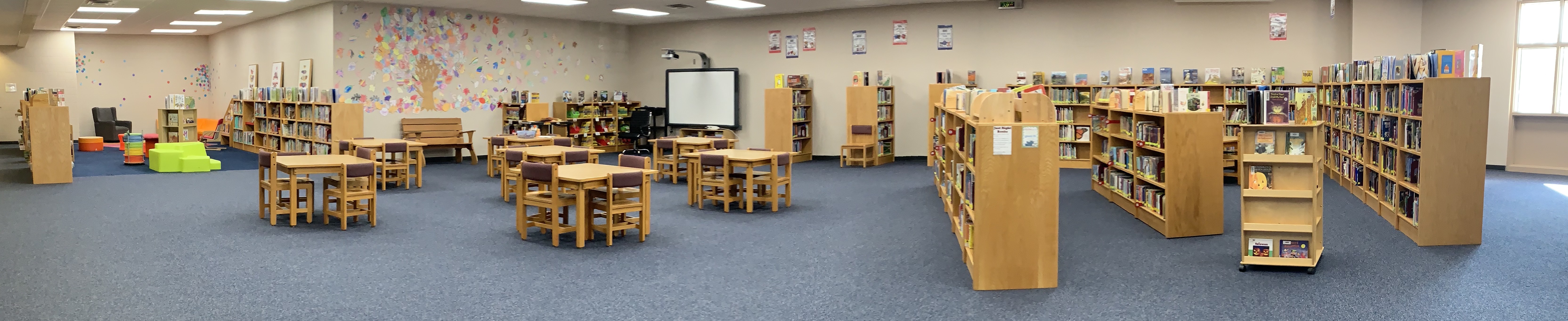 Elementary Library