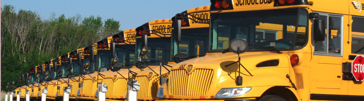 School Buses
