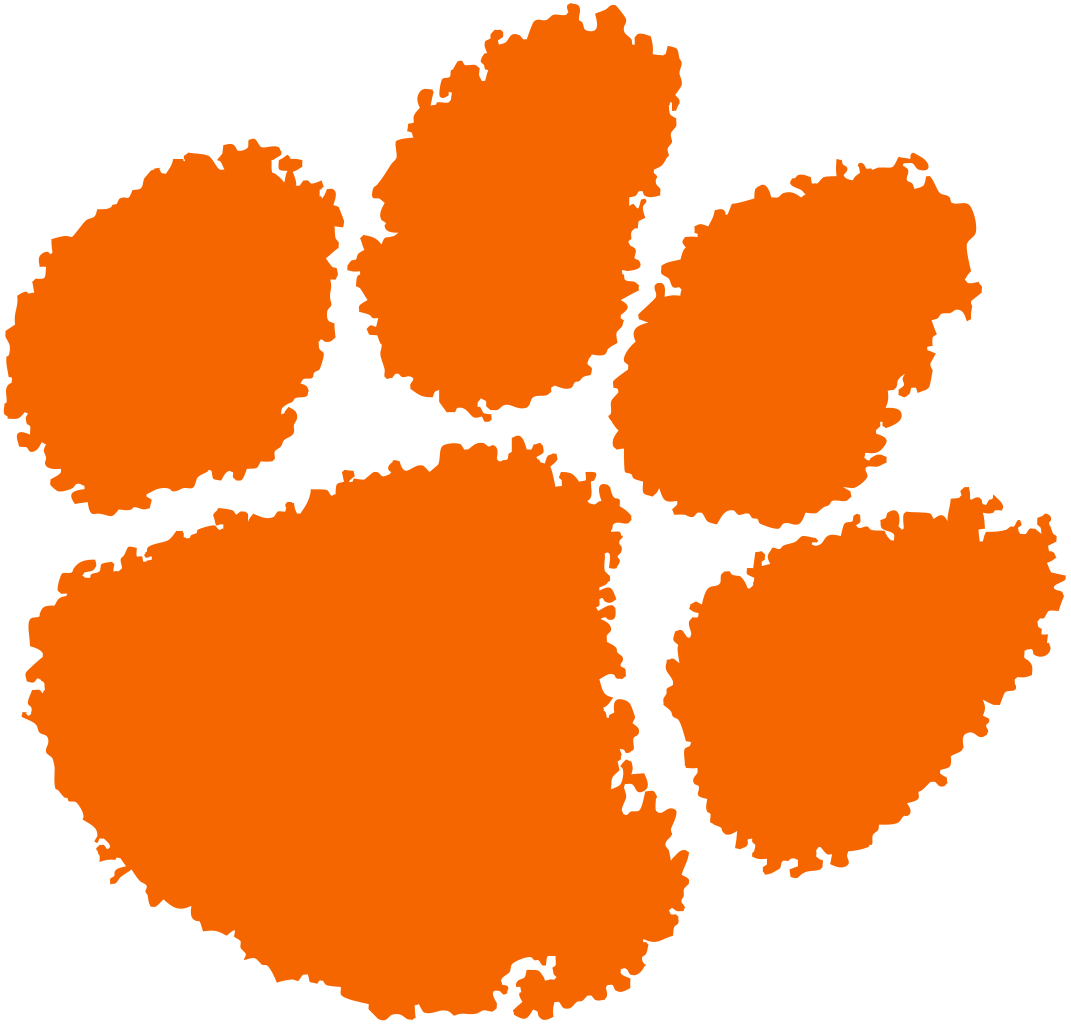 Tiger orange paw
