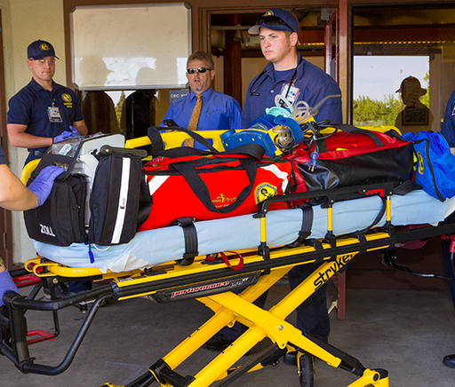 Paramedics