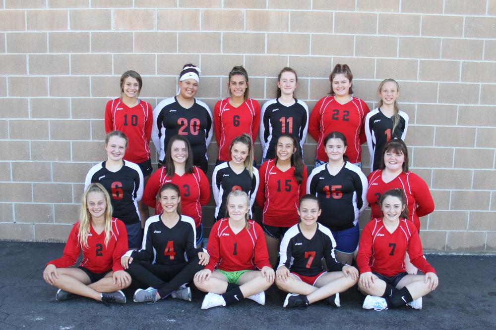 MS Volleyball