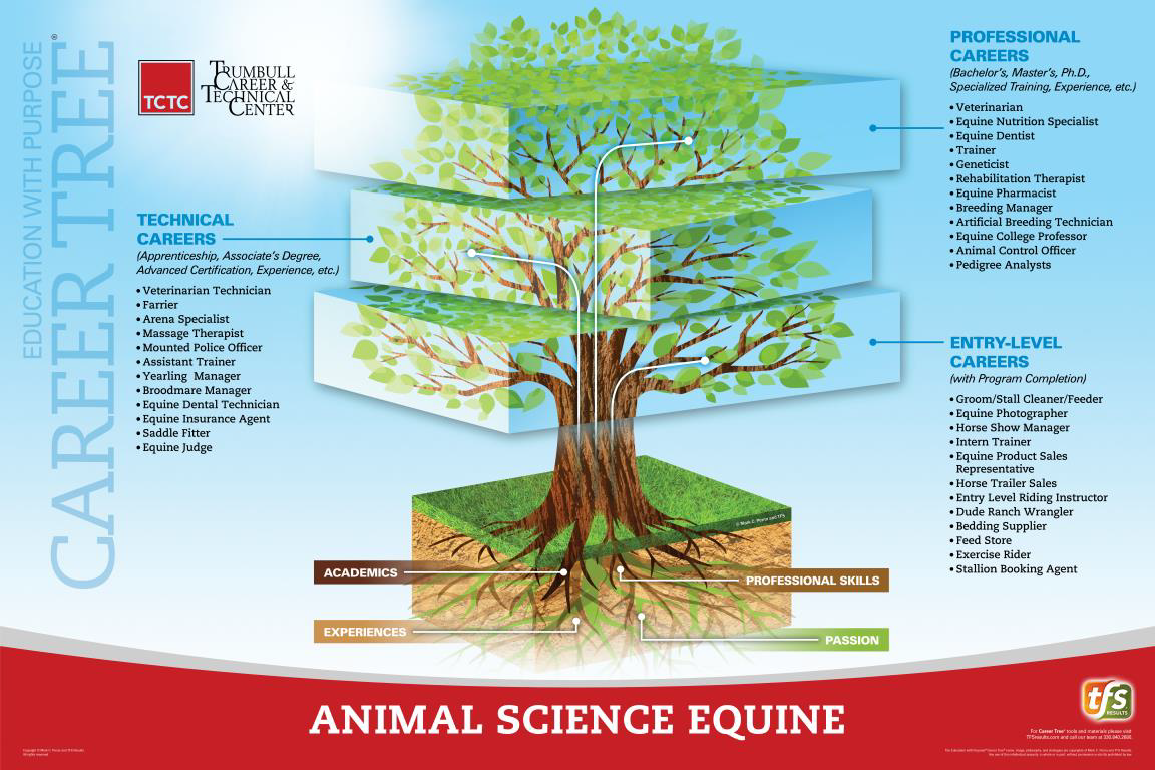 Animal Science Equine Career Tree