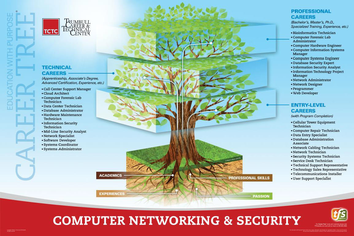 Computer Networking & Security Career Tree