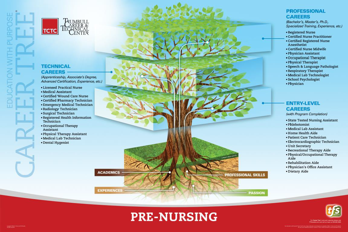 Pre-Nursing: Phlebotomy Career Tree