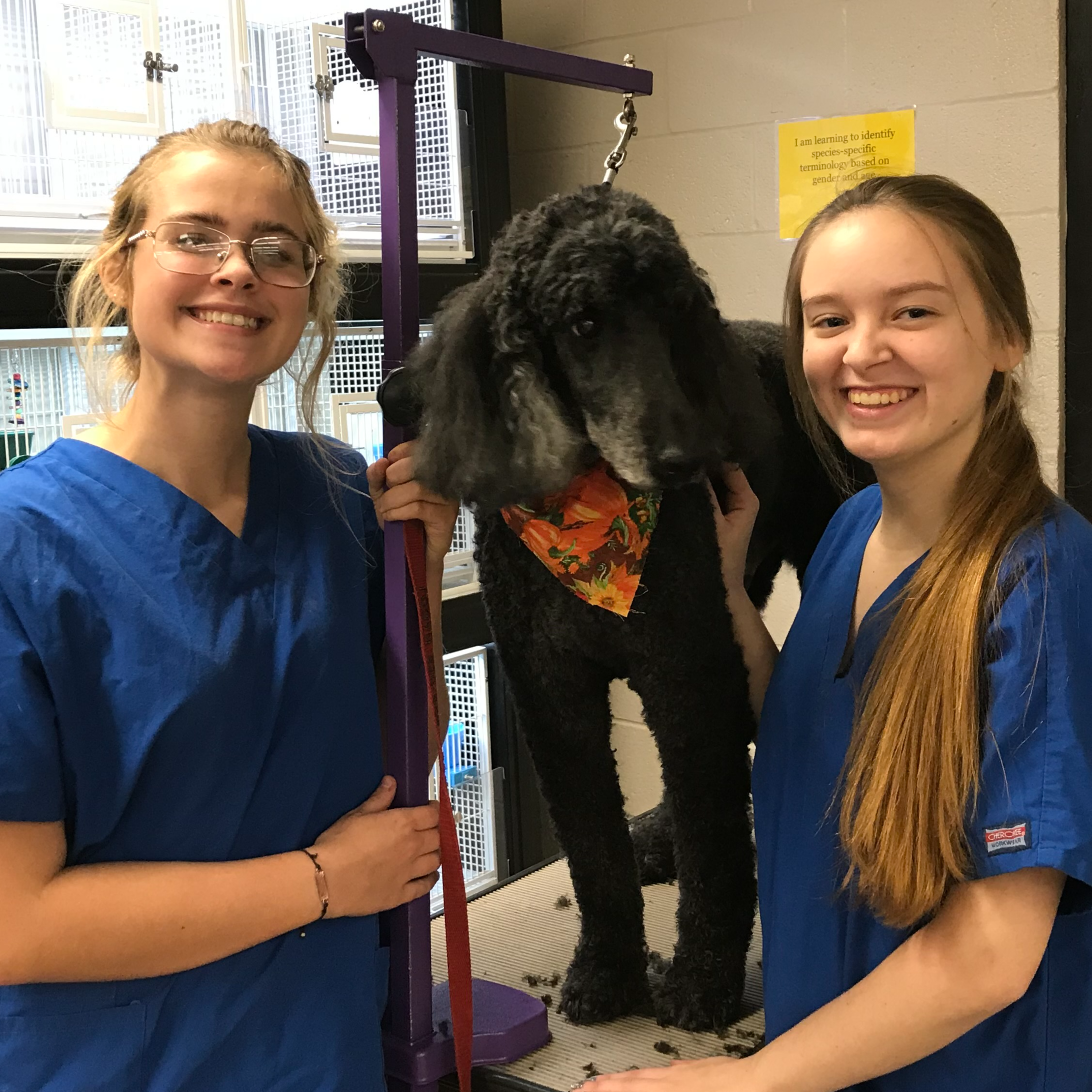 Animal Science Health & Technology