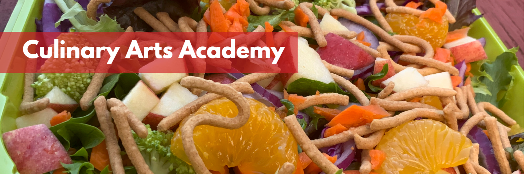 Culinary Arts Banner