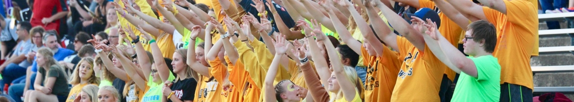 Crowd cheering