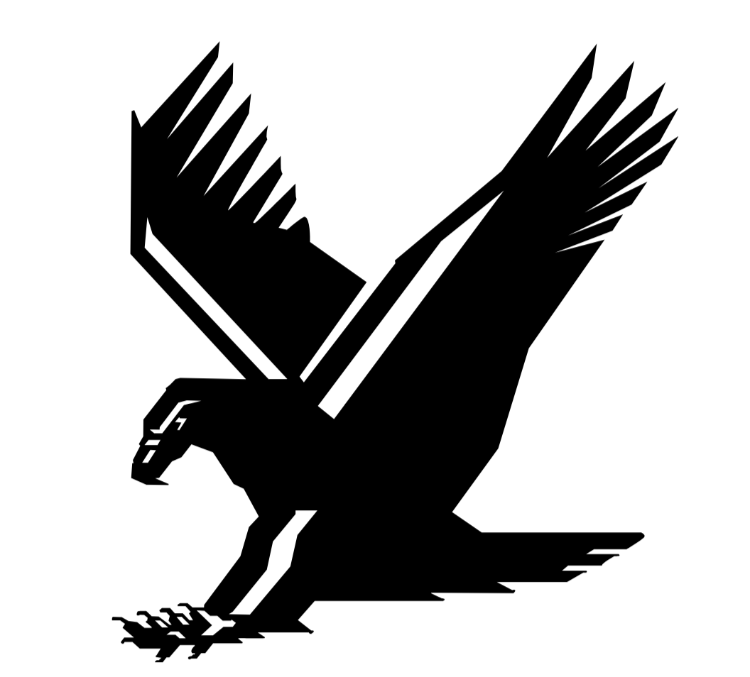 hawk logo