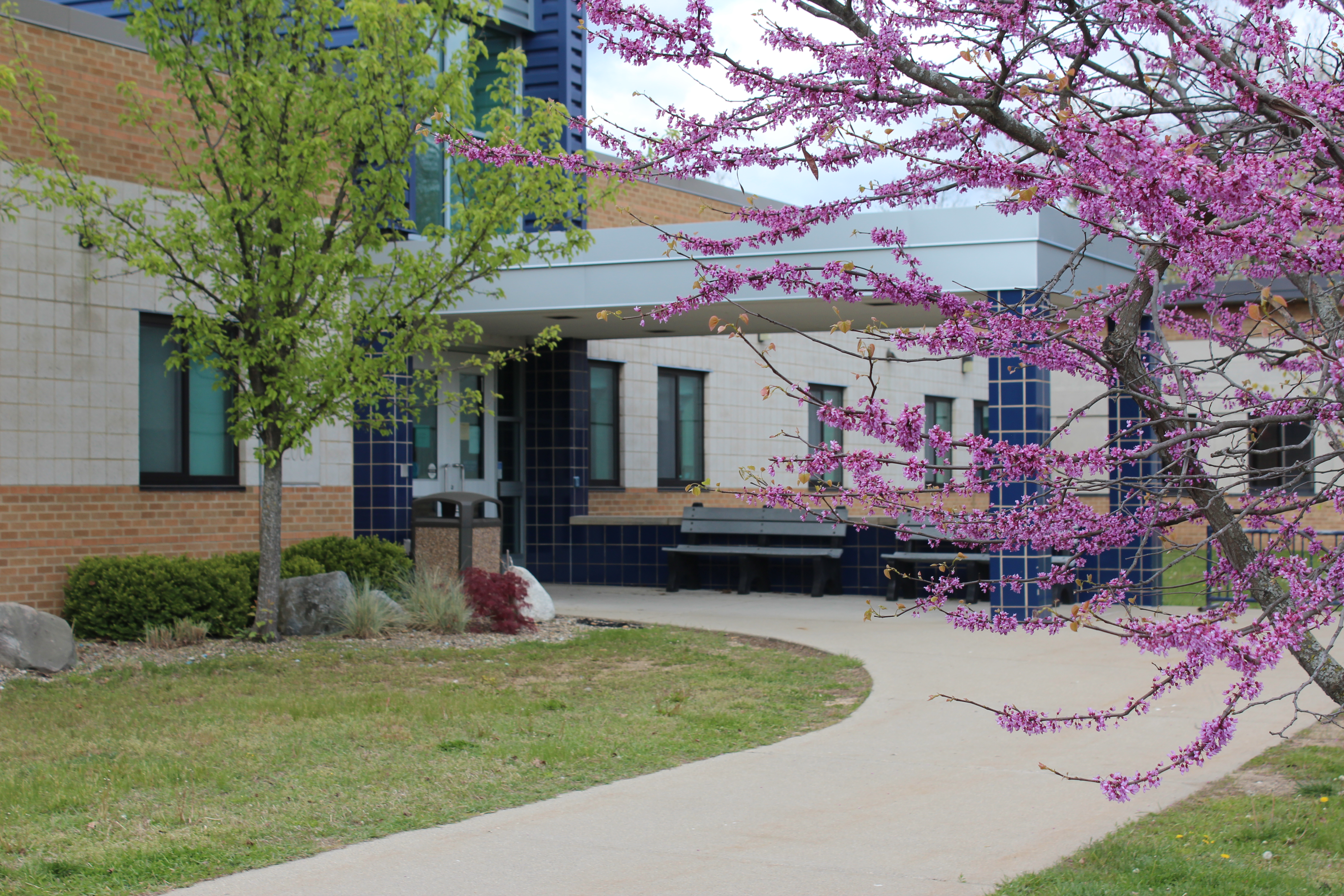Front Entrance to Gilkey Elementary with green tree and pink flowering tree