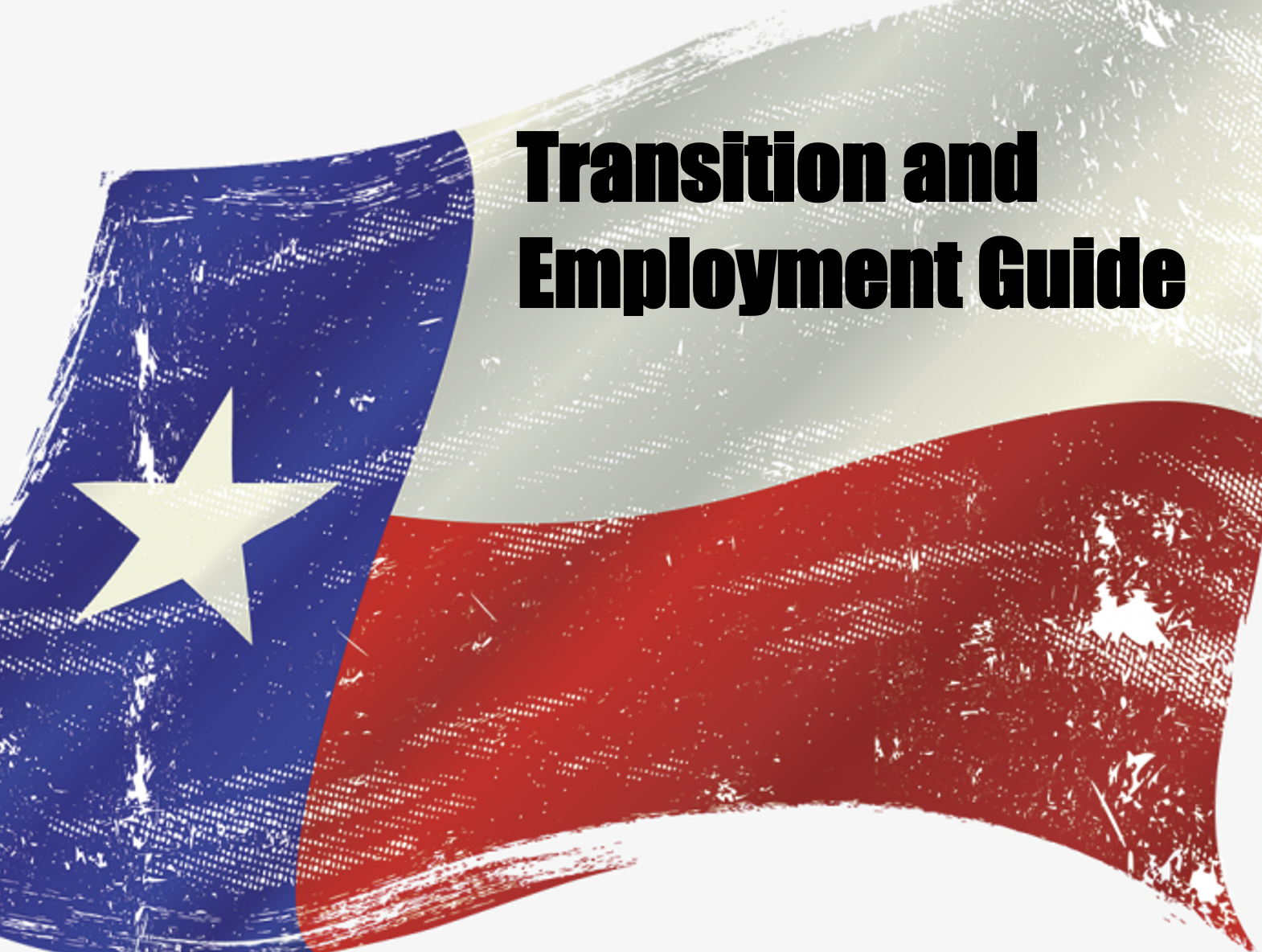 transition guide