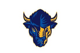 Bison Mascot