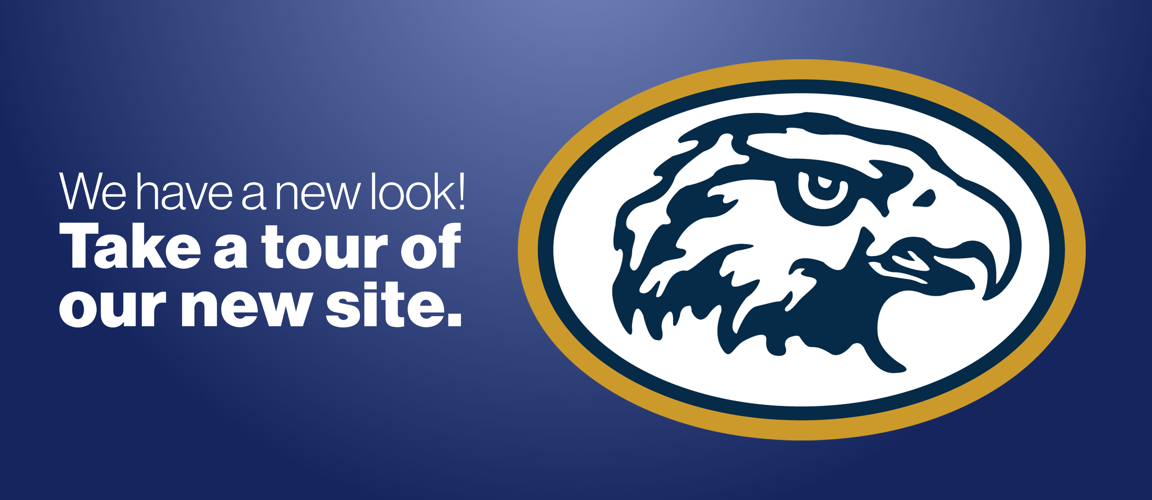 New Look Website