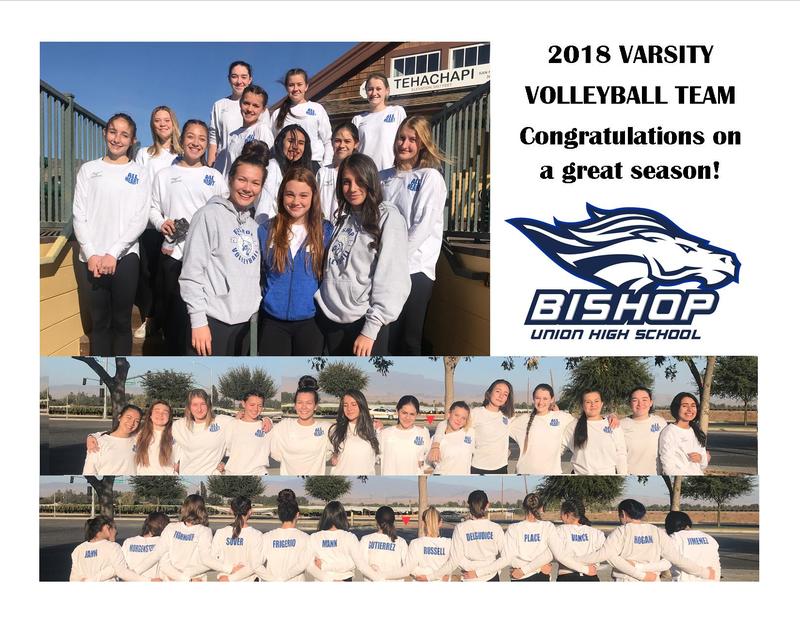 Photos of the 2018 Varsity Volleyball team.