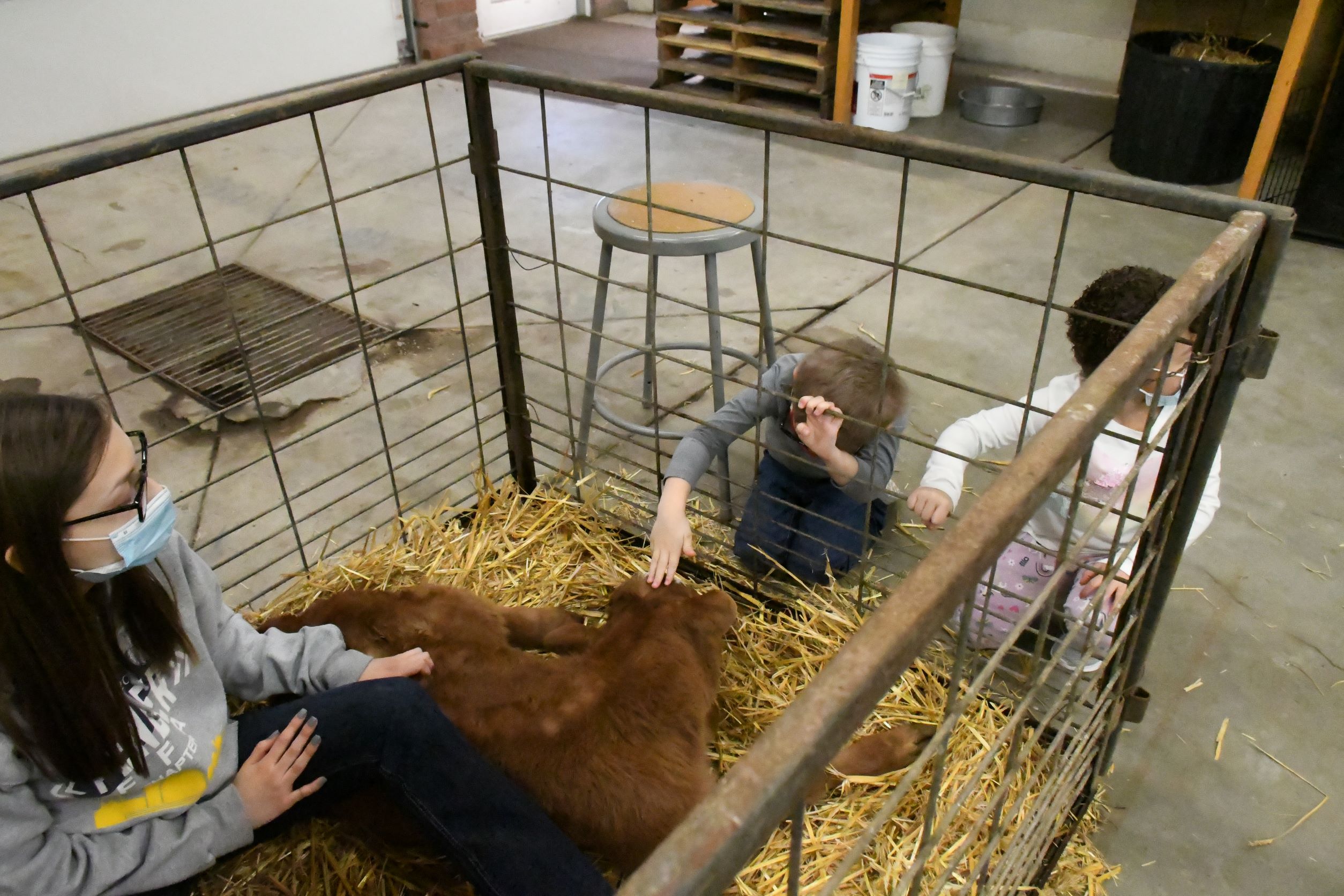 FFA Week Barnyard