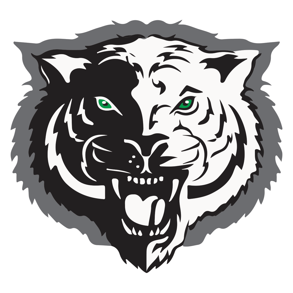 Triton Central High School Home