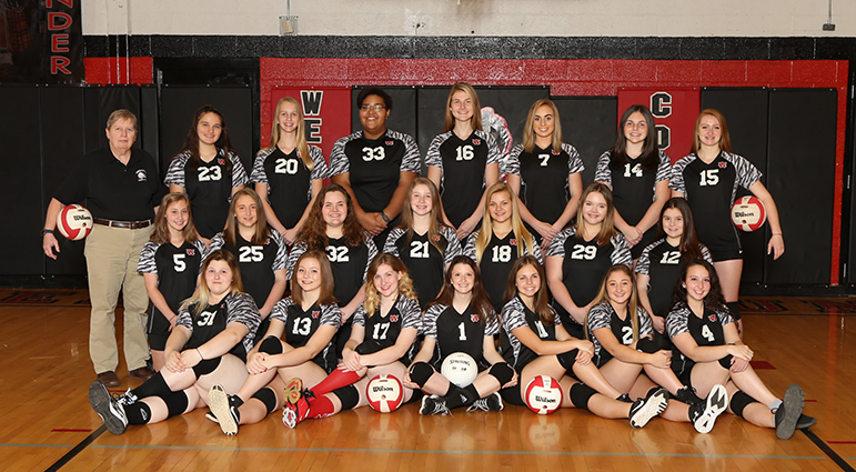 Volleyball