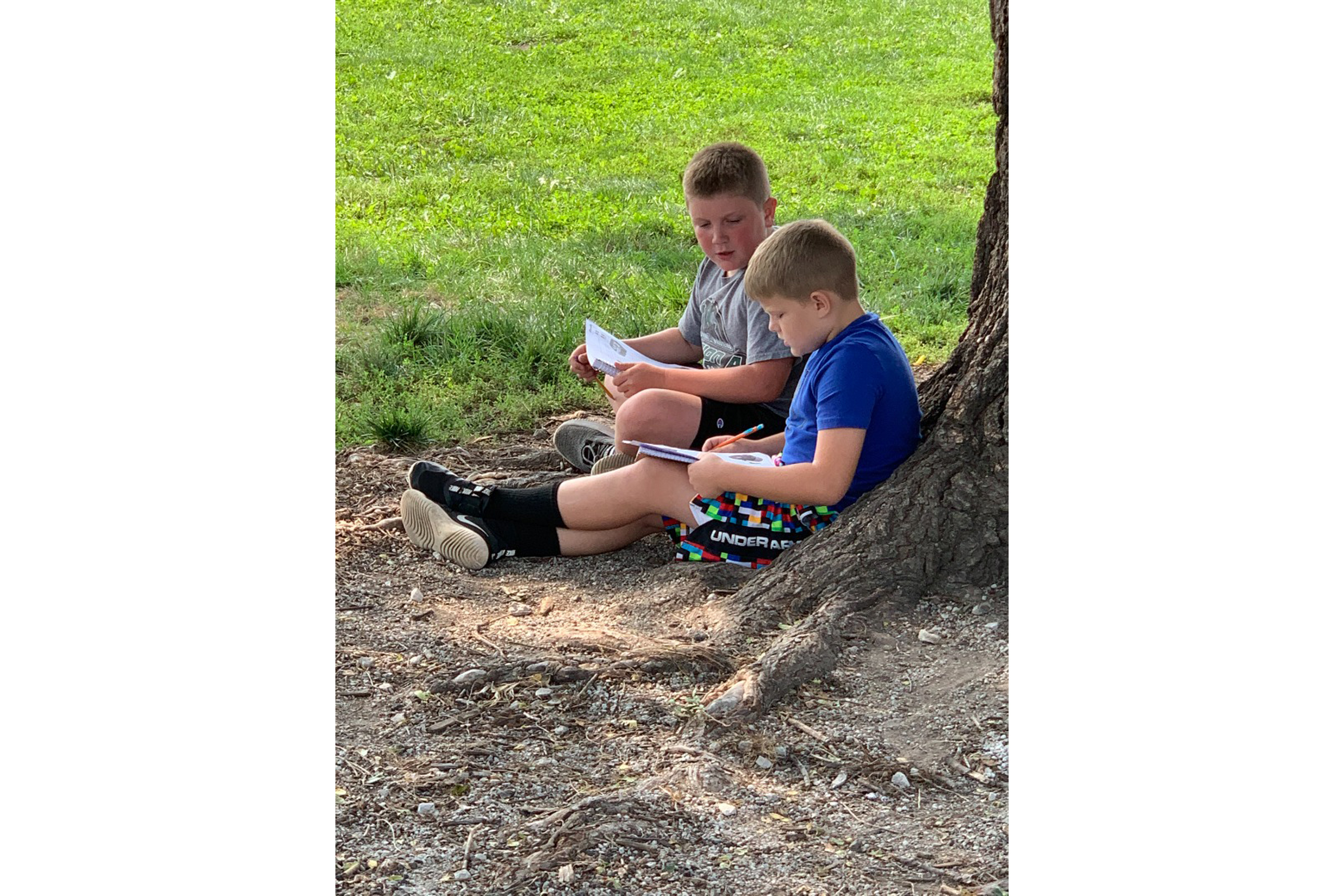 Two boys sitting underneath a tree reading