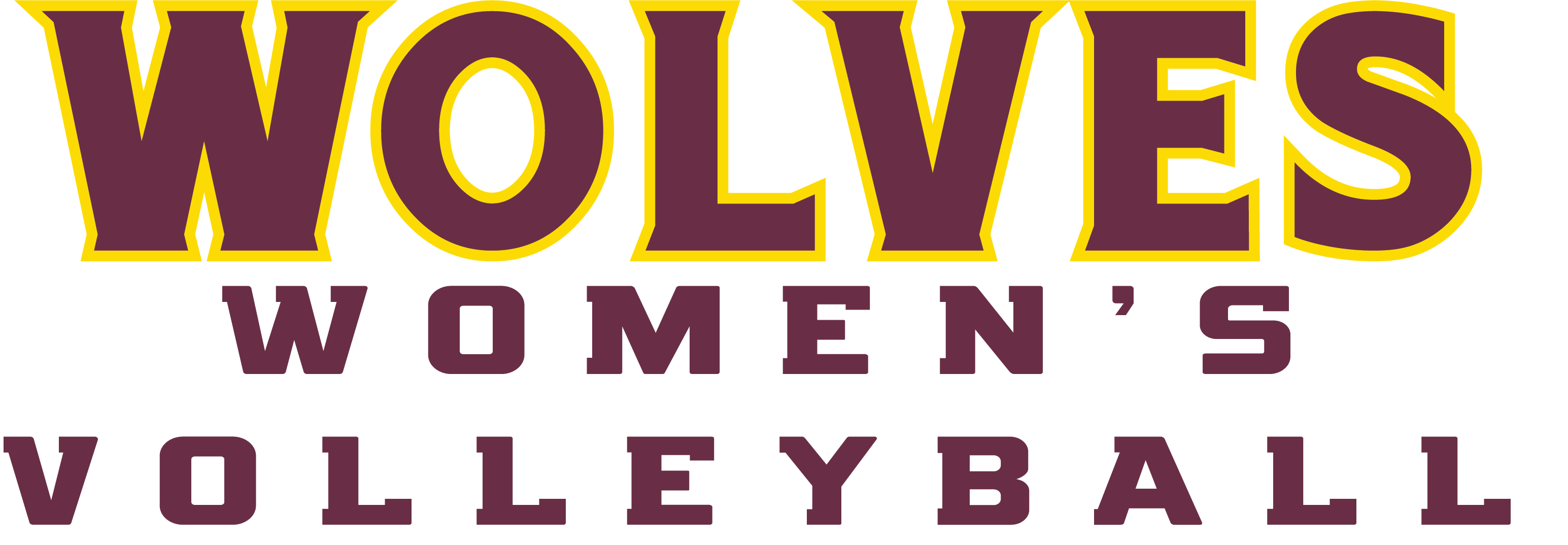 women's volleyball
