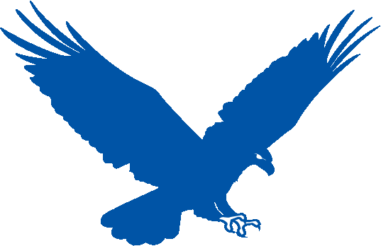 Hawk Graphic
