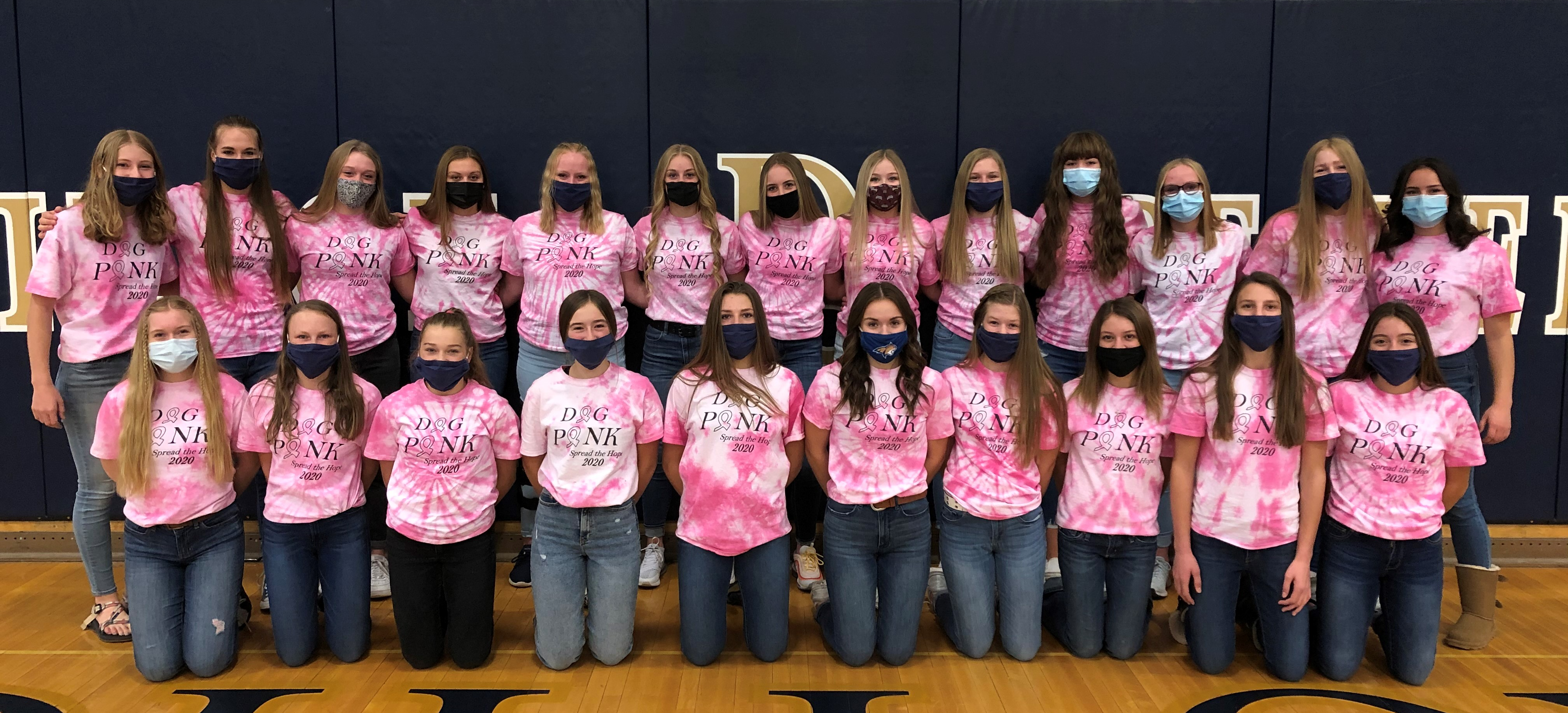 volleyball team wearing "Dig Pink" shirts