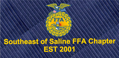 FFA logo