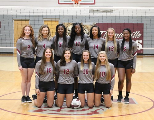 varsity volleyball team 2020