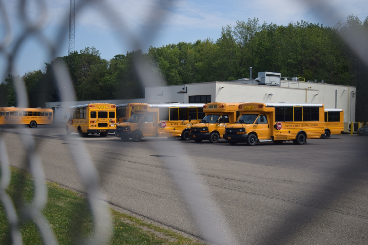 buses