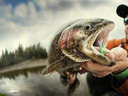 BASS