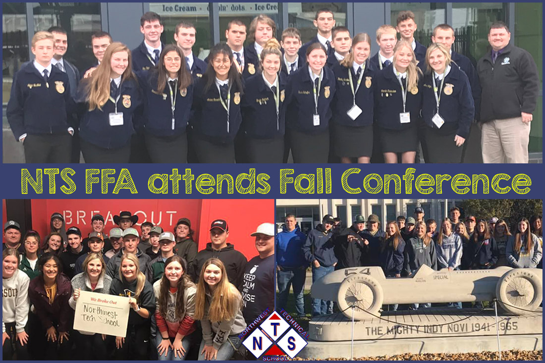 NTS FFA