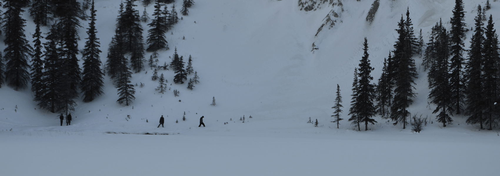 photo of people walking in the snow