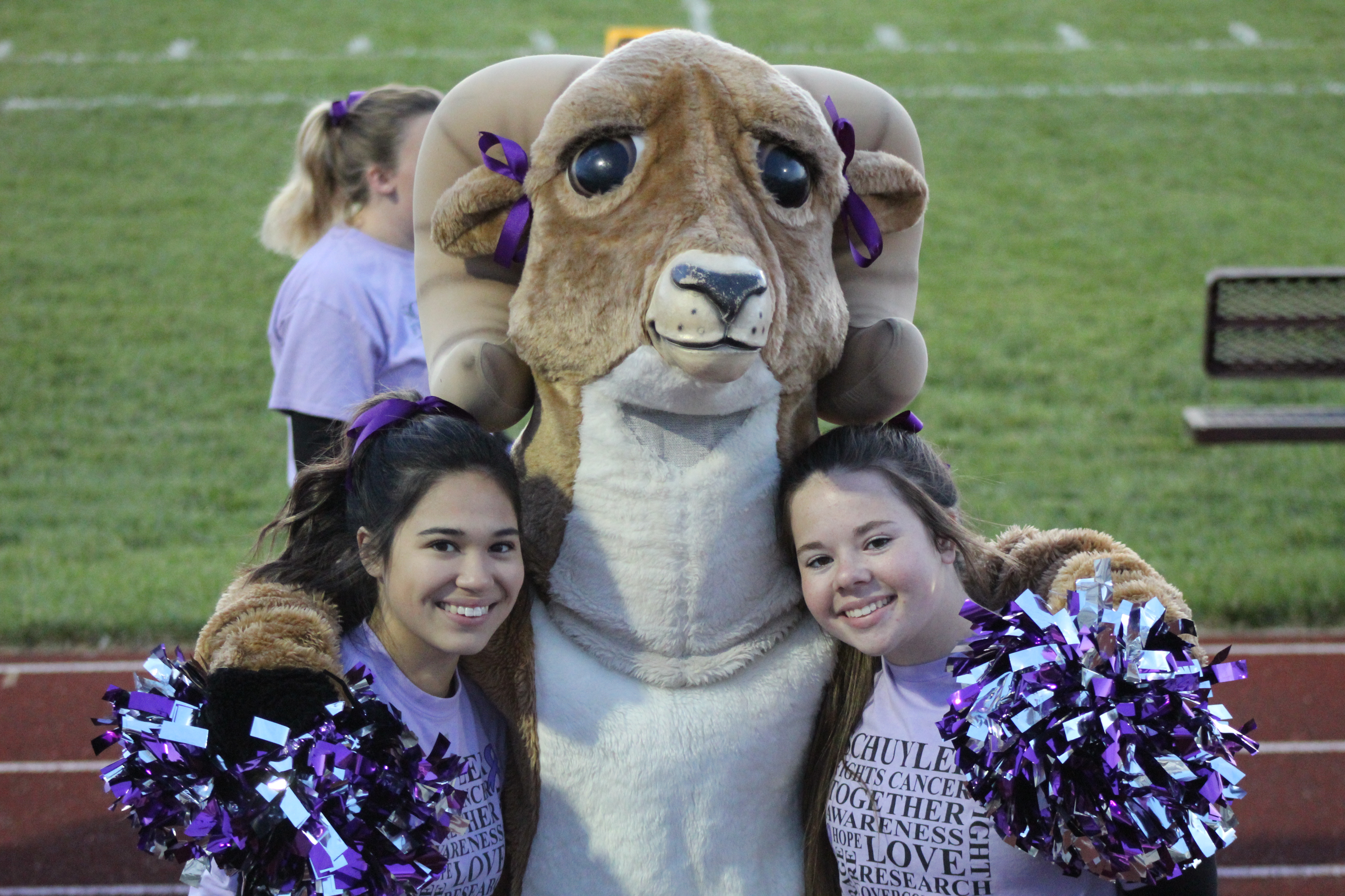 v cheer6