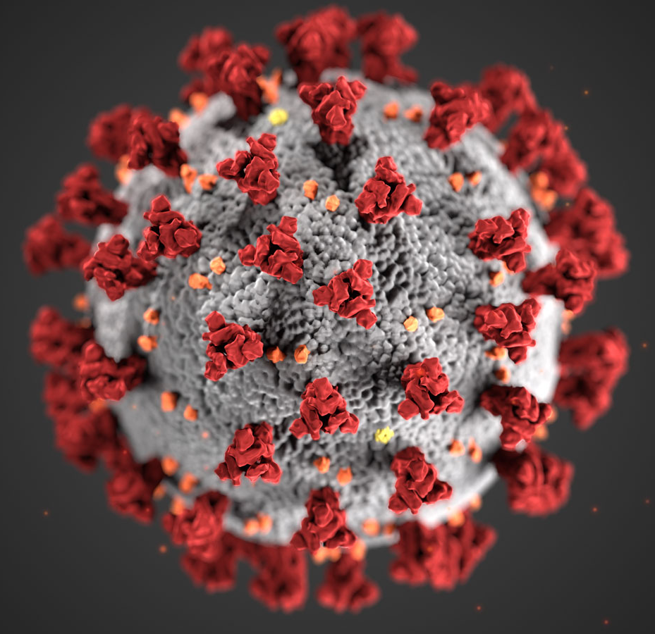 COVID Virus