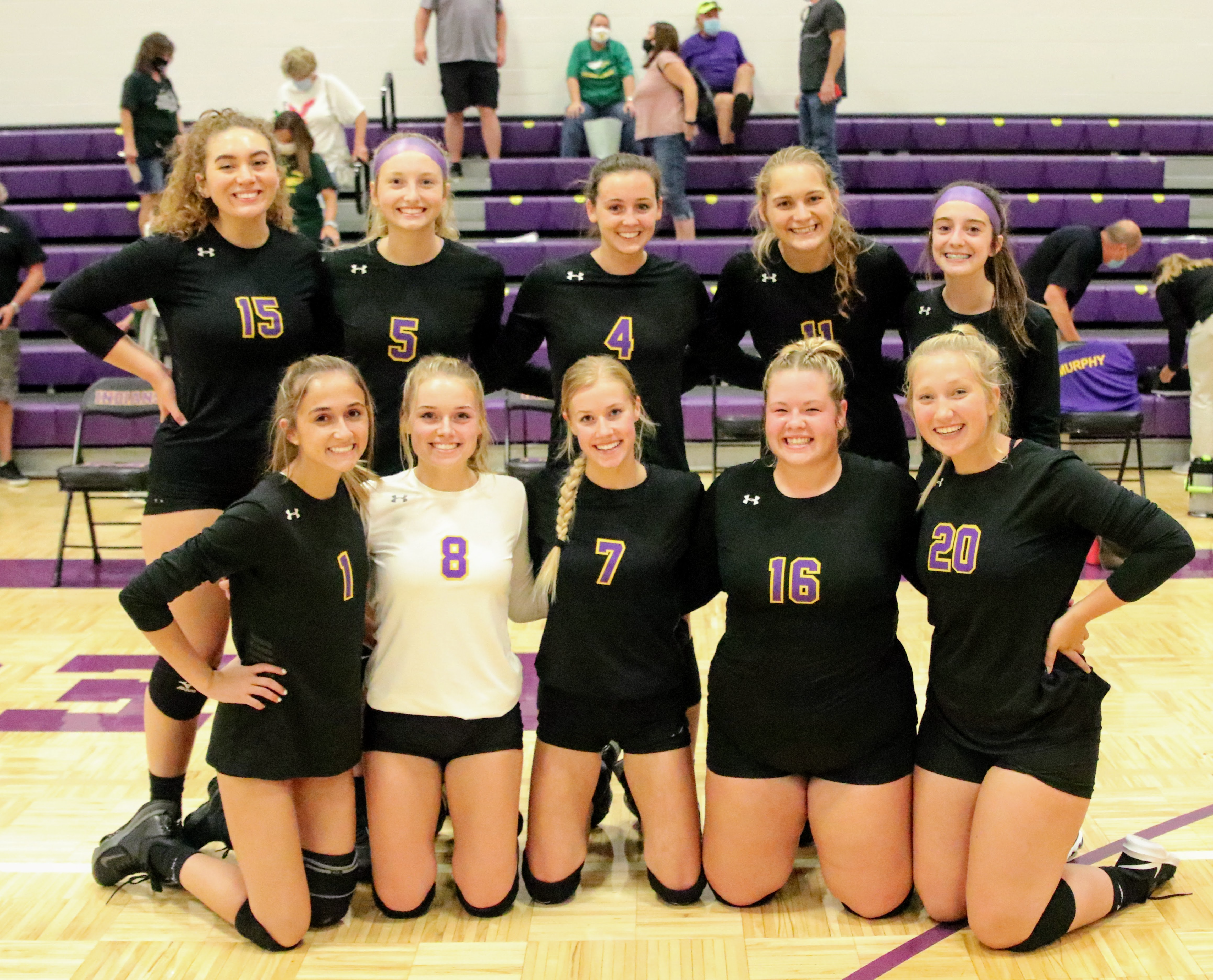 Volleyball picture