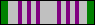 N-1-10 Honor Guard